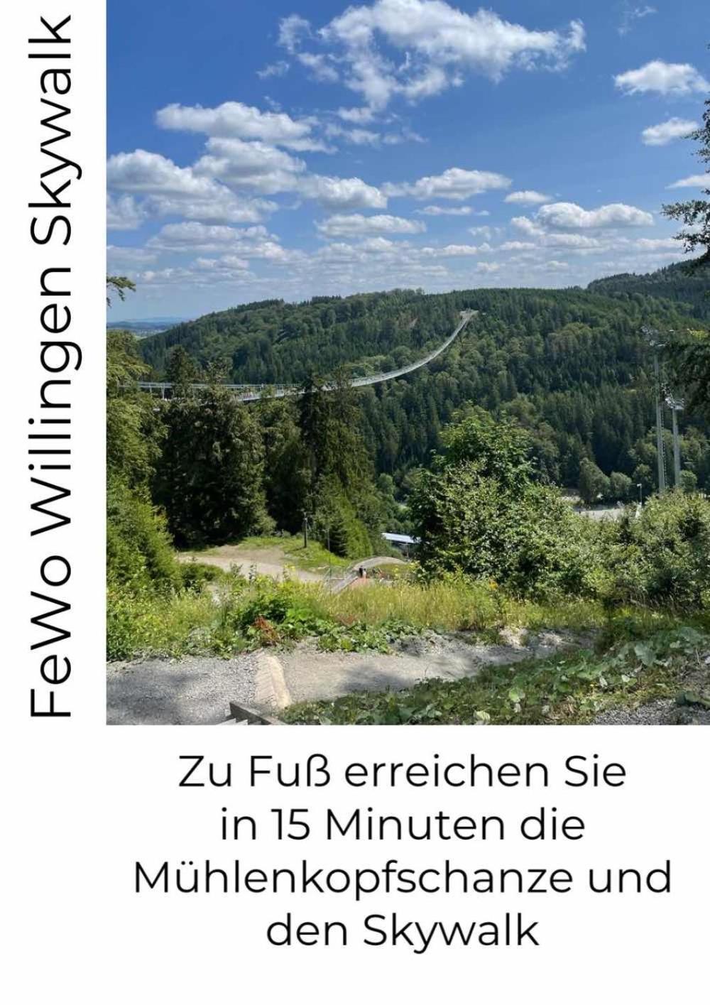 Fewo Skywalk Willingen Stryck Zewnętrze zdjęcie