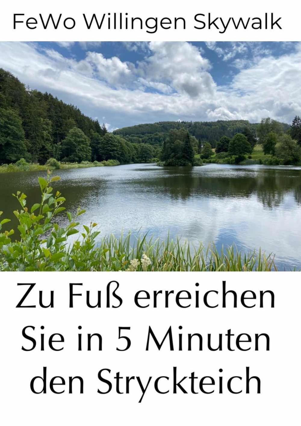 Fewo Skywalk Willingen Stryck Zewnętrze zdjęcie